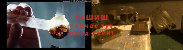 крисы Няндома
