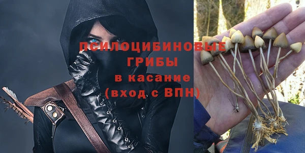 винт Алзамай