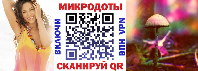 мега как зайти  Черепаново  Псилоцибиновые грибы прущие грибы 